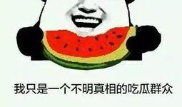 吃瓜视频在线观看免费版 吃瓜大瓜事件,免费版吃瓜视频背后的精彩事件